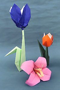 Actividad en Origami